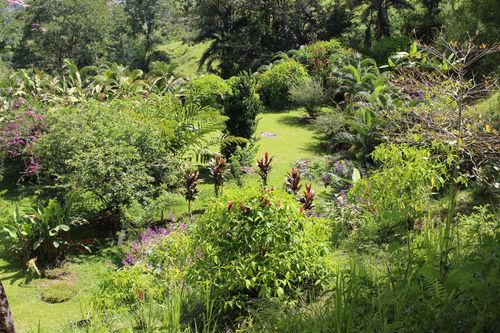 Land beside the house