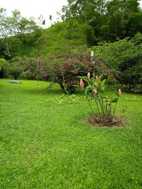 Land beside the house