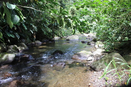 The river on the land