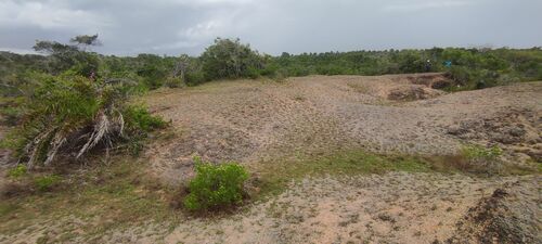 Jungle and Limestone Area