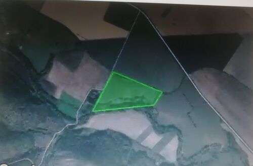 Google View of Land