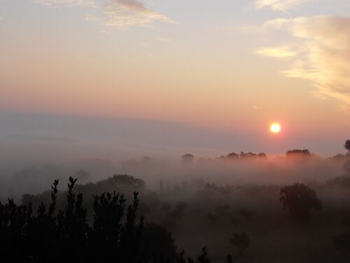 Our view-winter sunrise