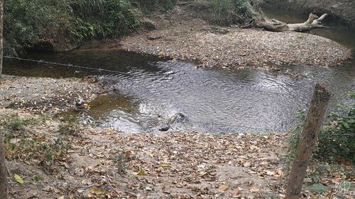 river in the property