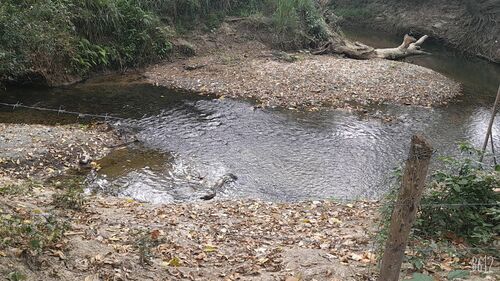 river in the property