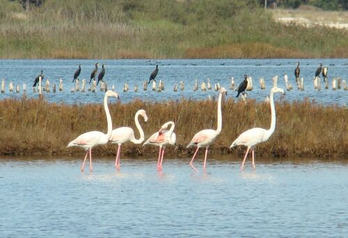 Santo Andre Lagoon