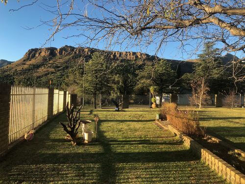 Garden1