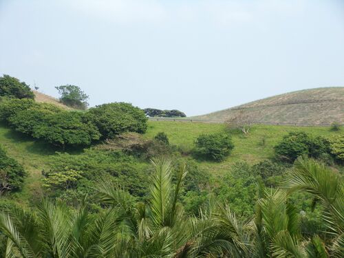 View from Patio