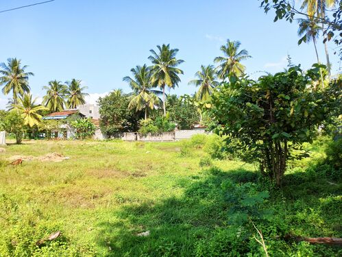 Main road corner view 2