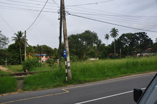 View from Main Road