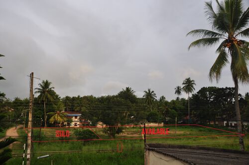 Full land Elevated view