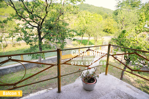 View to hills and woods