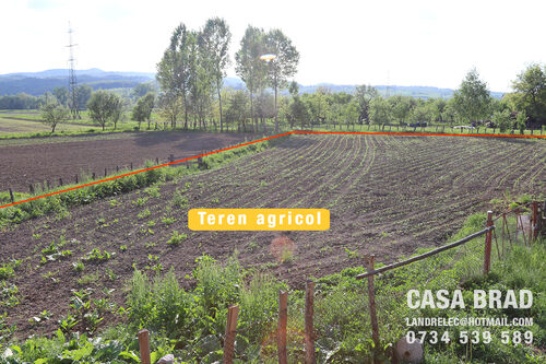 Fertile agricultural land