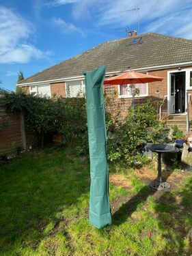 Rear garden towards house