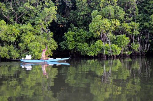 Koggala lake