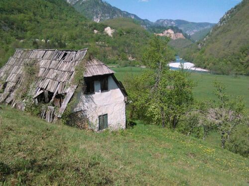 Old house ruin