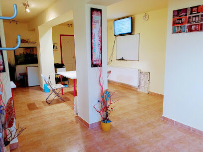 cellar-apartment