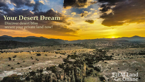 desert blissdark light