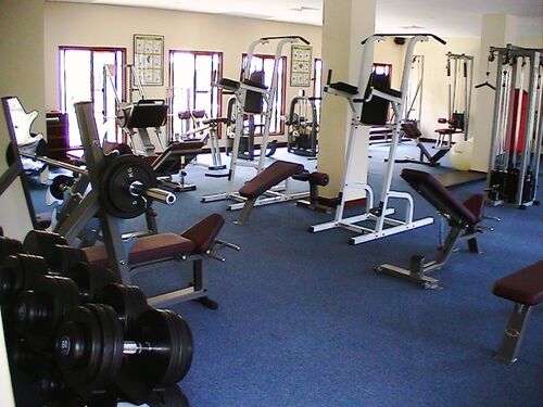 Gym