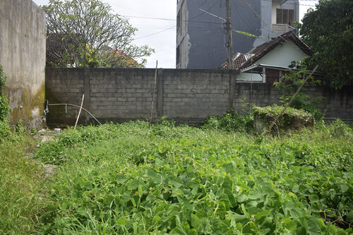 Berawa Land