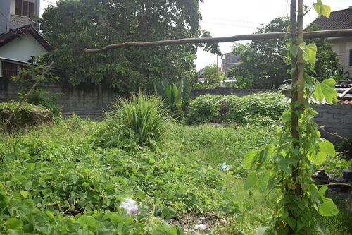 Berawa Land