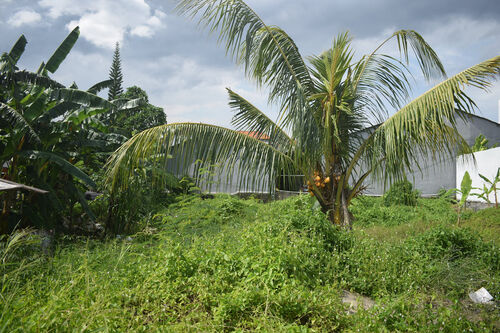 Berawa Land