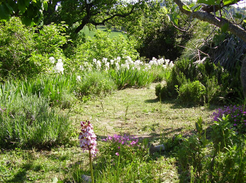 Terraced Garden