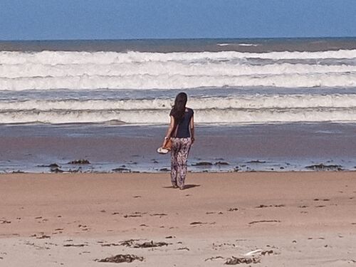 the beach 