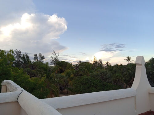 view from roof terrace 
