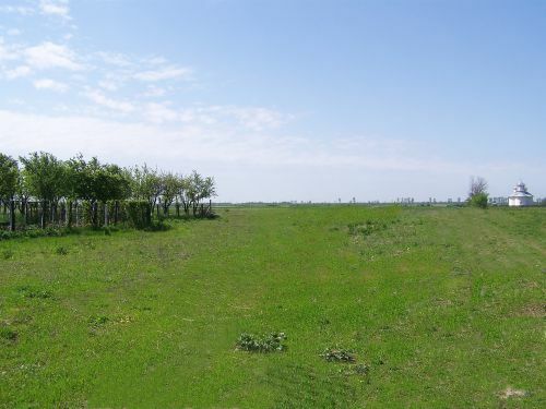 View into Plots