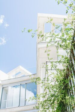 edificio - detalle