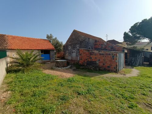 garden with well