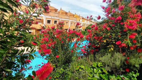 Gardens and Pool