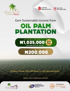 PalmRich Prices 