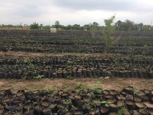 3-months nurseries 