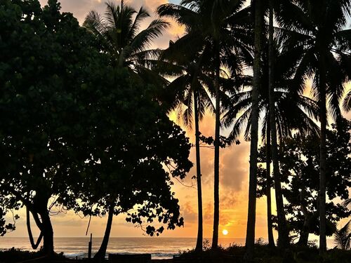 Sunrise