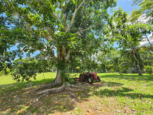 Tractor 