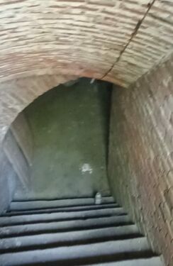 cellar