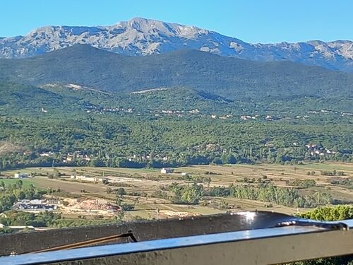 the view