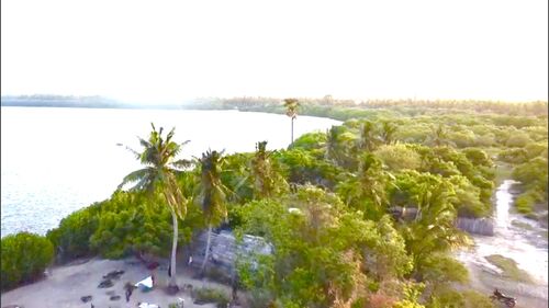 Overview of entire land 