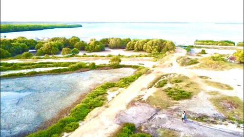 Drone view 