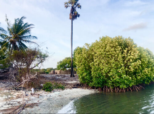 From lagoon to landslide 