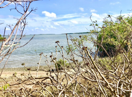 From land to lagoon view 
