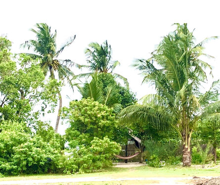 Inside of the land 