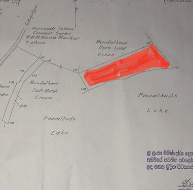 Title Plan 
