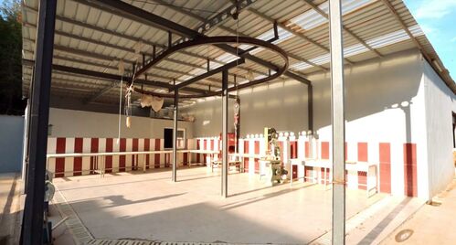 slaughterhouse