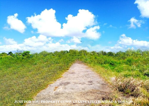 Land for Sale in Trinidad