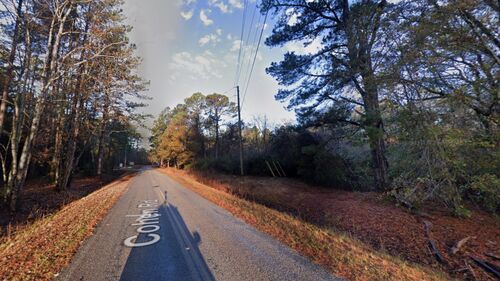 Cohen Rd, Pineland, SC 29