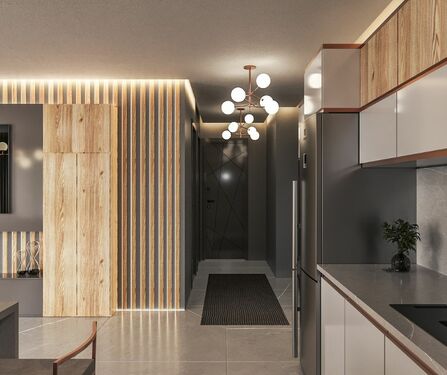 hall, kitchen,living room