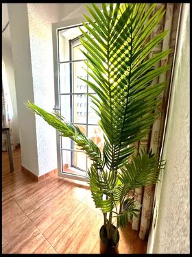 Vista puerta Terraza.