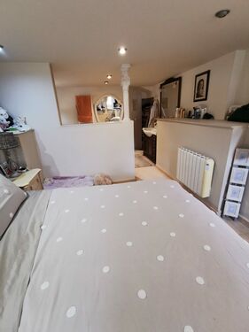 Downstairs Master Bedroom